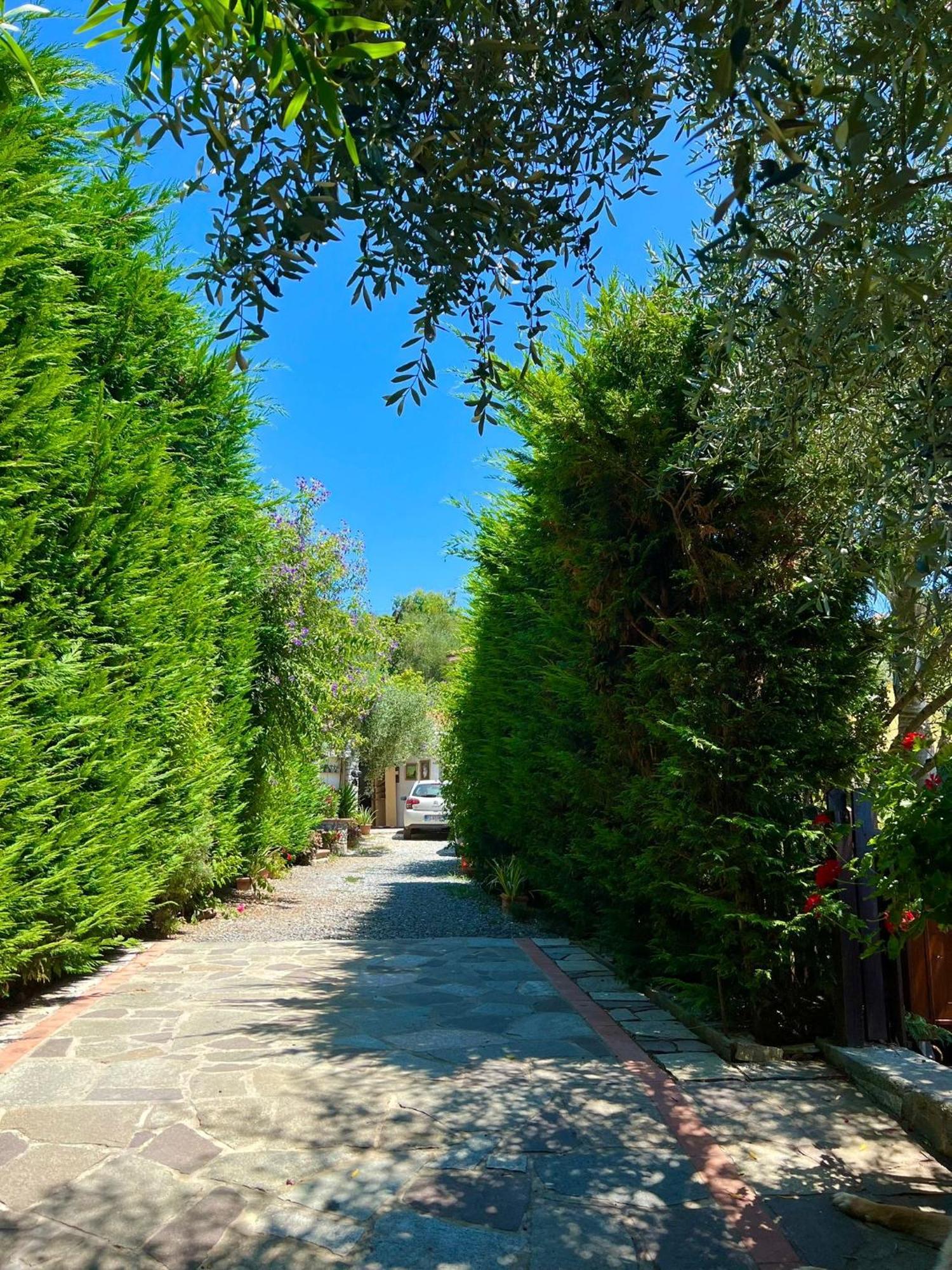 Le Jardin Sur Mer Avec Bike Et Mtb Tour Hotell Imperia Eksteriør bilde